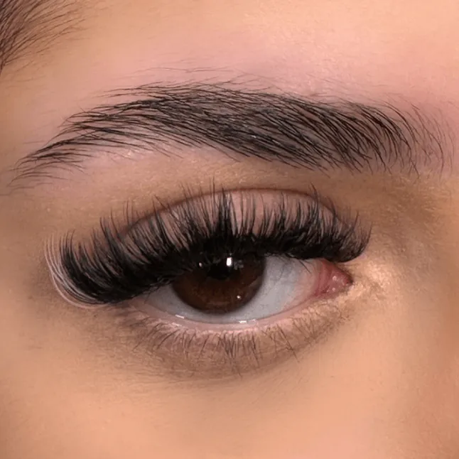Close-up of an eye with lash extensions and a shaped brow