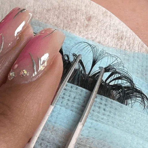 Tweezers lifting a lash fan from its strip